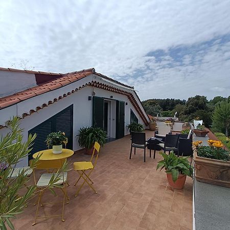 托雷德尔格雷科Casa Olivella公寓 外观 照片